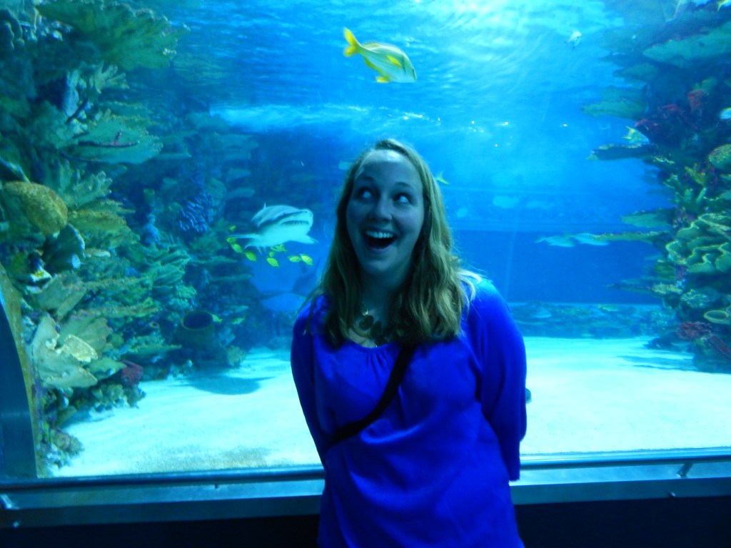 Getting Silly in&nbsp;Budapest