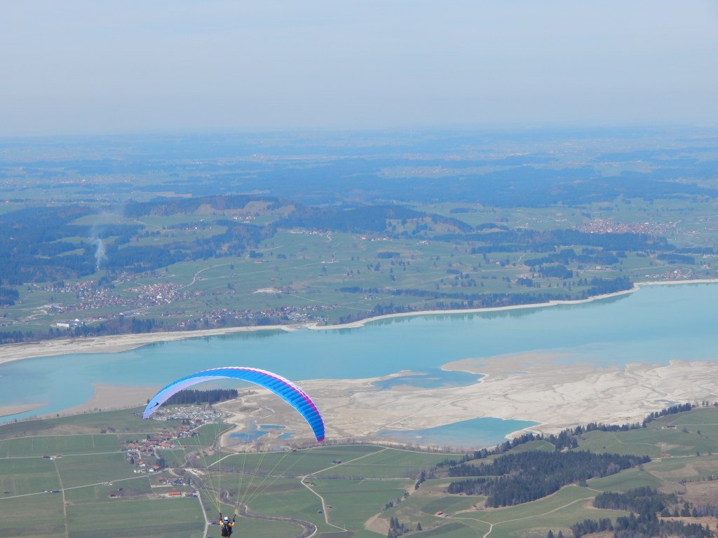 Being One With The Birds in&nbsp;Bavaria