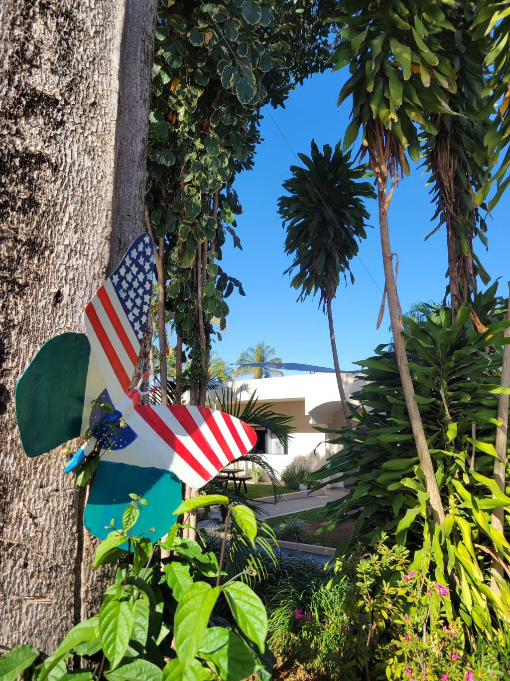 New Kids on the&nbsp;Bloco