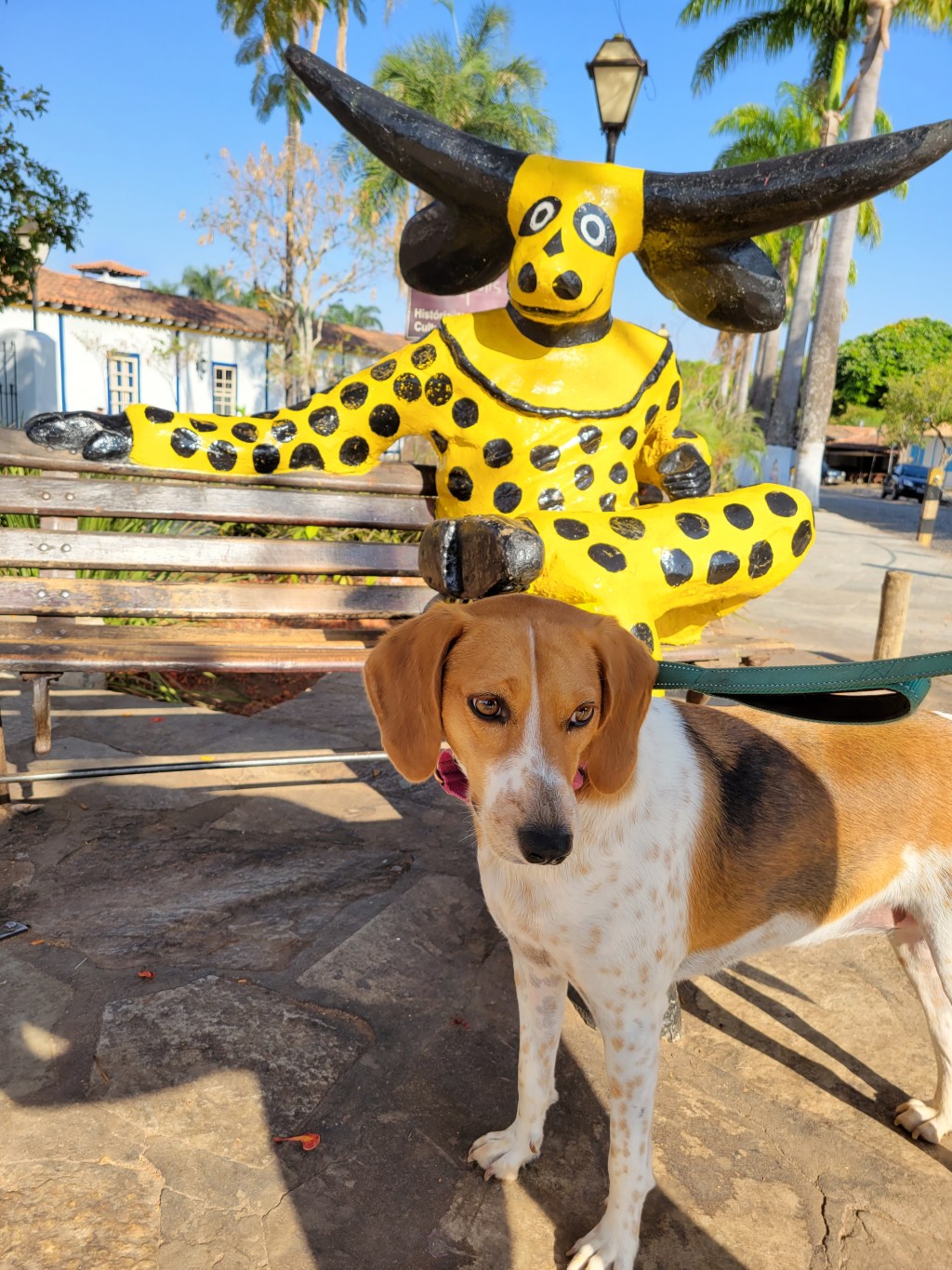 Pirenopolis (part 1)