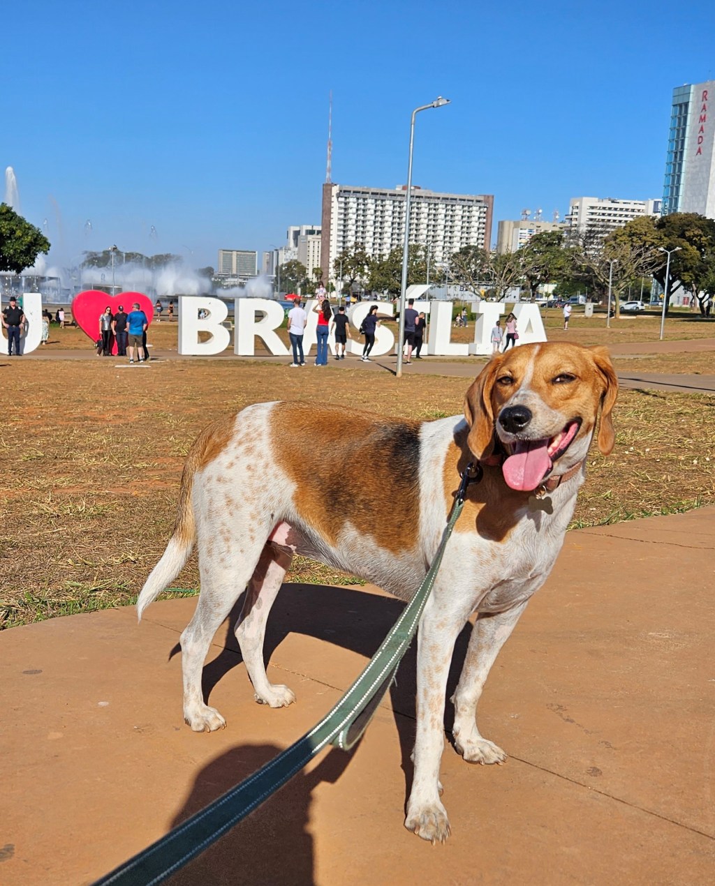 Brazilian Cultural Musings